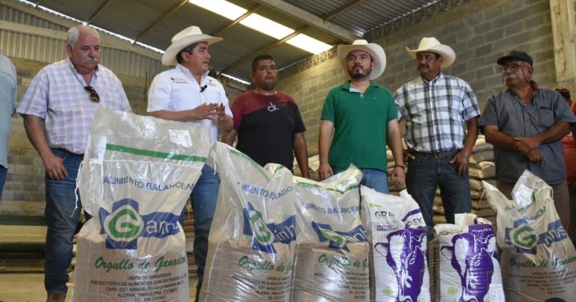 Productores de González reciben suplementos alimenticios para el ganado