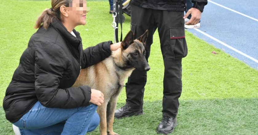 Reconoce SSPT labor de elementos caninos