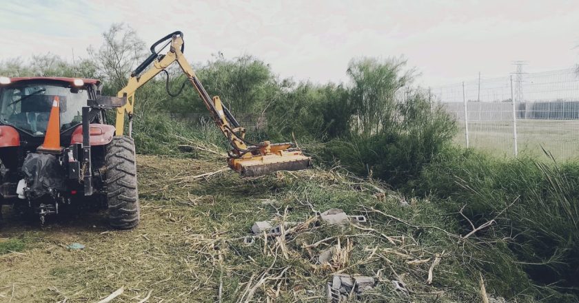 Verifica Regidor trabajos de chapoleo en Hacienda las Fuentes