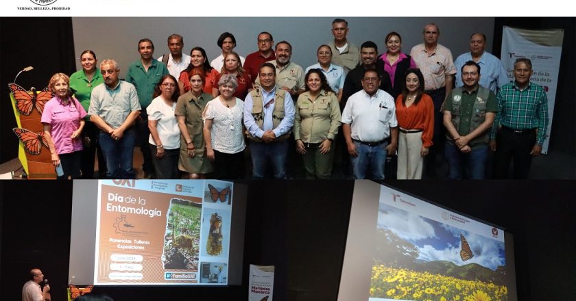 Colabora la UAT en la conservación de la mariposa monarca