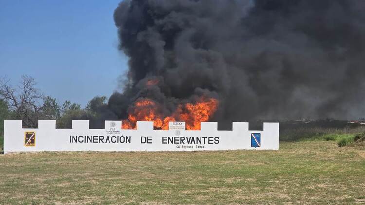 Incineró FGR droga incautada en distintos operativos