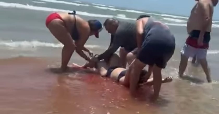 ¡Atacan tiburones en la Isla del Padre”