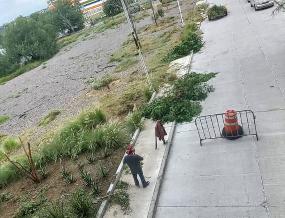 Al rescate del Centro de Convenciones y Parque Cultural Reynosa