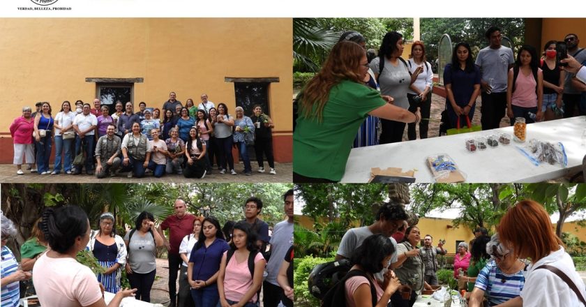 Realiza la UAT el segundo taller de jardines para polinizadores y aves