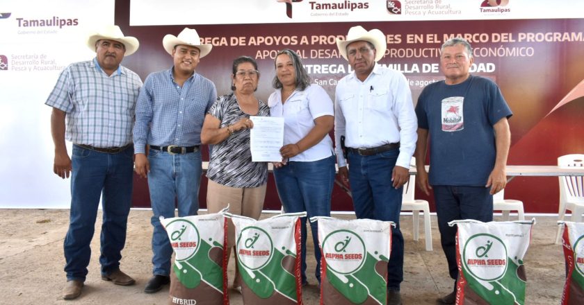 Impulsa Tamaulipas siembra de sorgo y maíz con la entrega de semilla de calidad