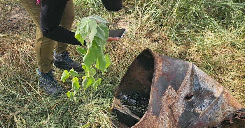 Atiende Fiscalía hallazgos de “cocinas clandestinas” en Tamaulipas