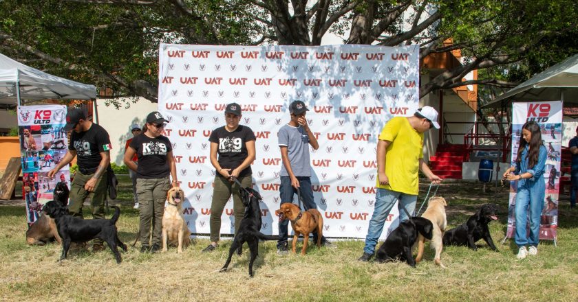 Pondrá UAT en adopción héroes caninos