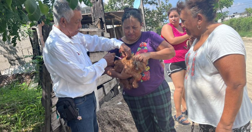 Aplicará Secretaría de Salud más de 300 mil vacunas a mascotas