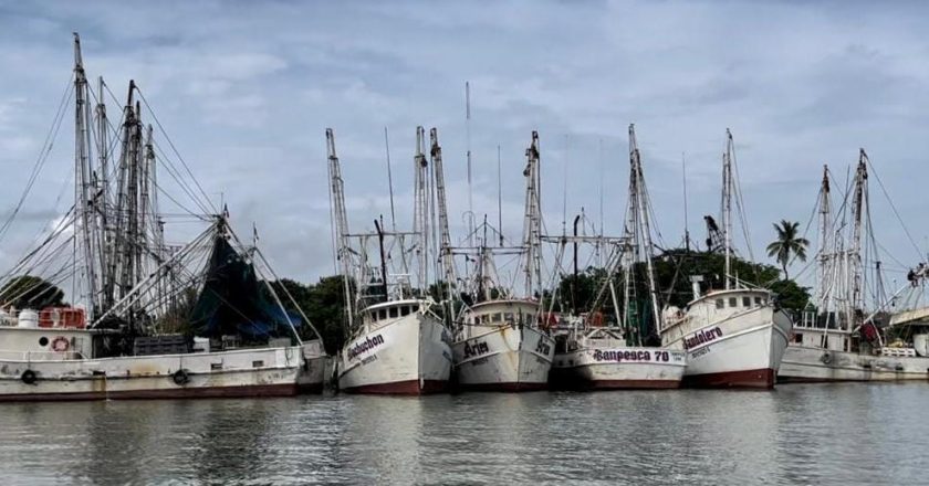 Es flota camaronera tamaulipeca, la más grande del Golfo de México