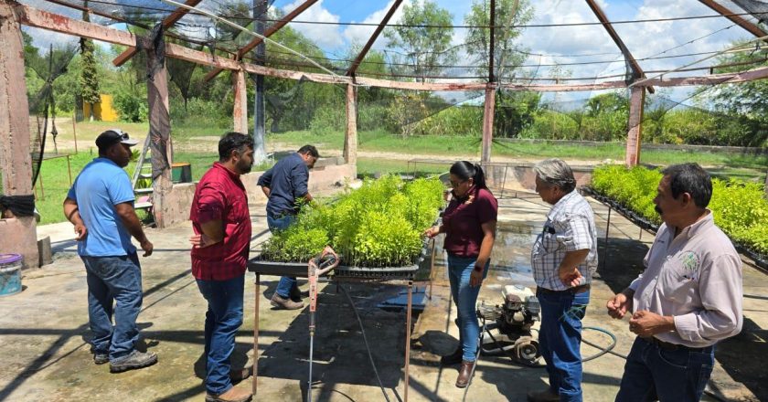 Presenta Desarrollo Rural programas de apoyo para productores agropecuarios y forestales de Abasolo