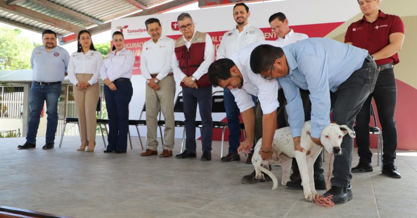 Pide SST vacunar a perros y gatos en el marco de la Jornada de Vacunación Antirrábica