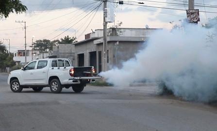 No hay que bajar la guardia contra el dengue