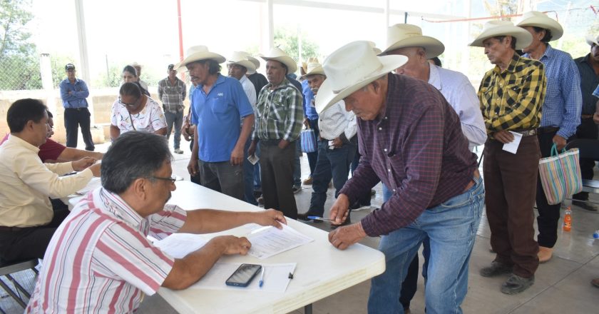 Abren ventanillas para Apoyo Estatal Extraordinario a productores agrícolas