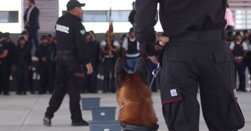 Realizan en la USJT exhibición de agrupamientos canino y montada de la SSPT