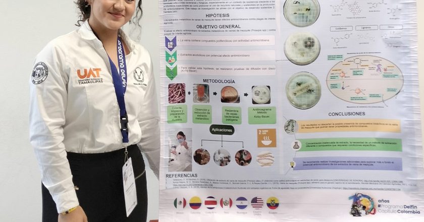 Alumna de la UAT estudia el potencial antimicrobiano de la vaina de mezquite