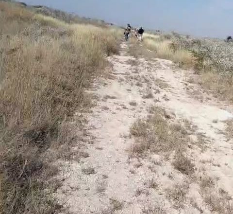 Desesperados esfuerzos por localizar con vida al Tío Beto