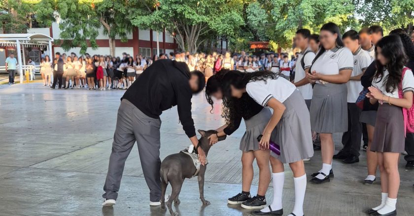 Refuerza Tamaulipas conciencia ambiental y protección animal en escuelas