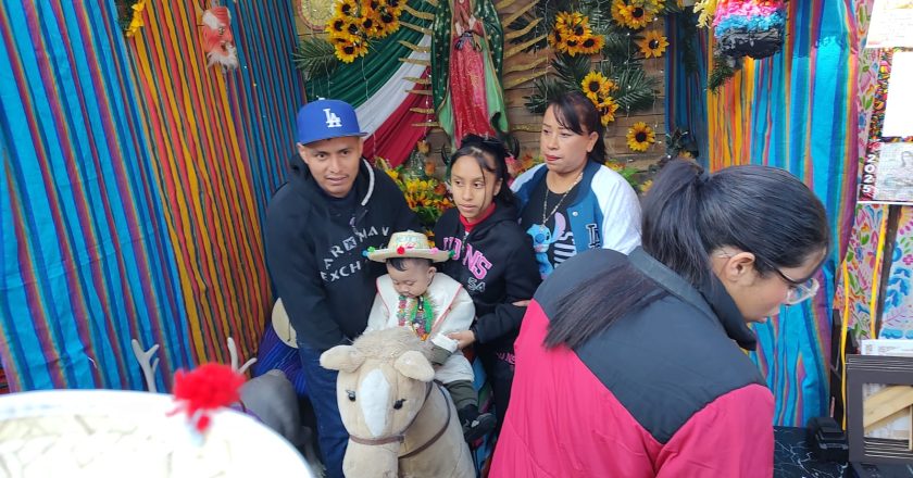 Milagraría guadalupana frente a Concatedral