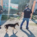 Investigan caso de crueldad animal