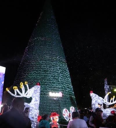 Encenderán pino navideño