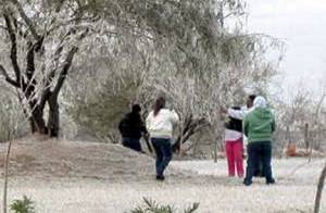 Reynosa, en grado de congelación